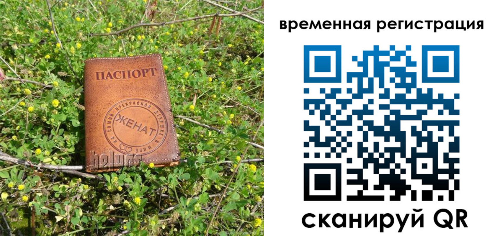 прописка регистрация в Балаково